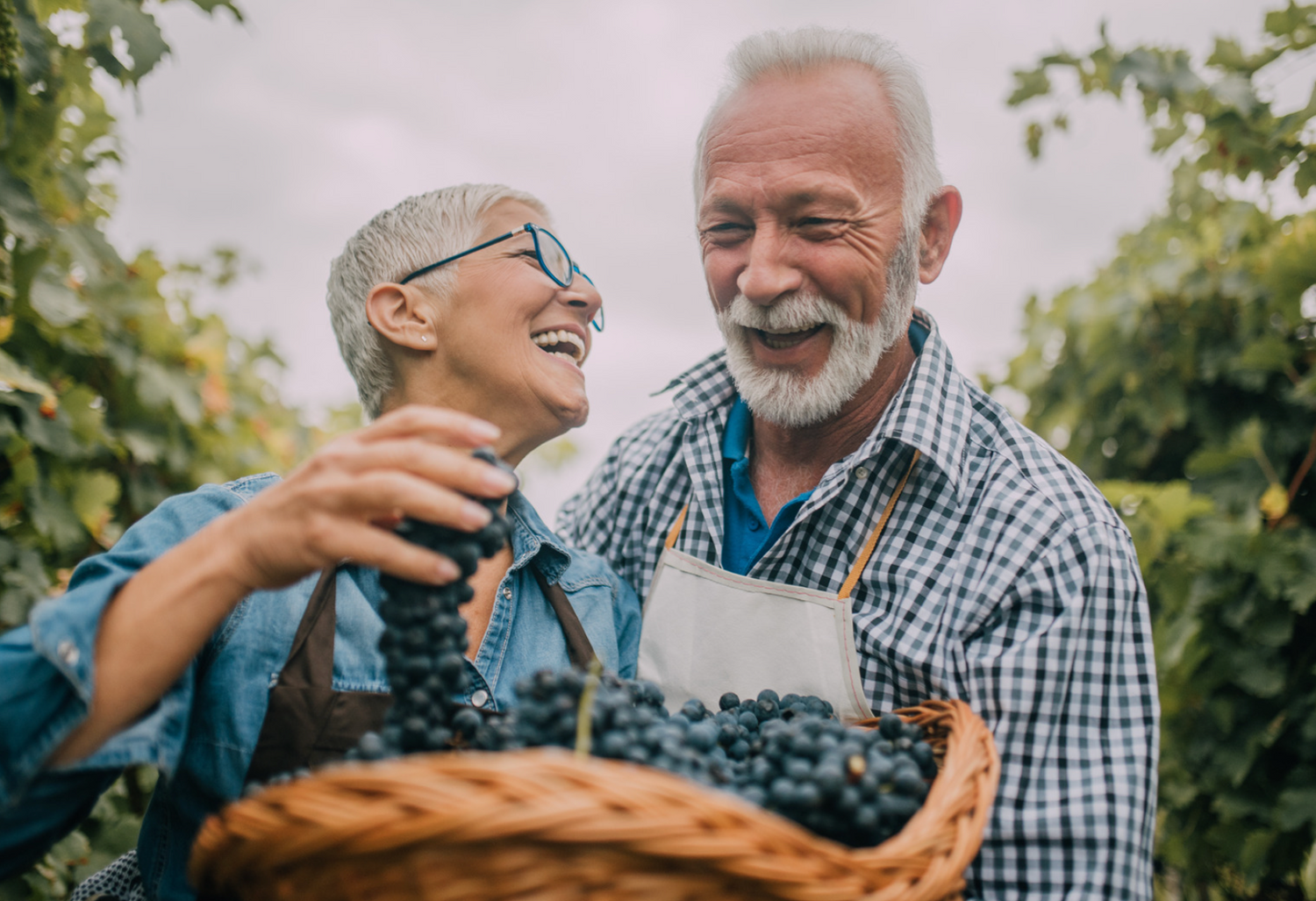 Your Guide to Self-Care for Older Adults