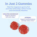 Two red gummies on a light blue background. Text: Teens’ Nighttime Reset Calming Magnesium Add-On—just 2 gummies support restful sleep, calm moods, and relaxation with Chelated Magnesium and Affron in this soothing supplement.