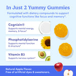 Infographic for Teens' Daily Focus Brain Support: Two yellow gummies with Cognizin®, Phosphatidylserine, and Vitamin B3 help boost focus, memory, mental energy, and nervous system. Features powder, sunflower, apple, and orange slice images.