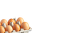 Choline