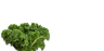 Folate (B9)