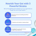 An informational graphic with the headline 'Nourish Your Gut with 3 Powerful Strains' on a pale blue background. It lists three labeled sections: Prebiotics, Probiotics, and Postbiotics, each with a blue circular icon and a white rounded text box describing gut health benefits.