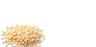 Vitamin B1