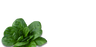 Vitamin B2
